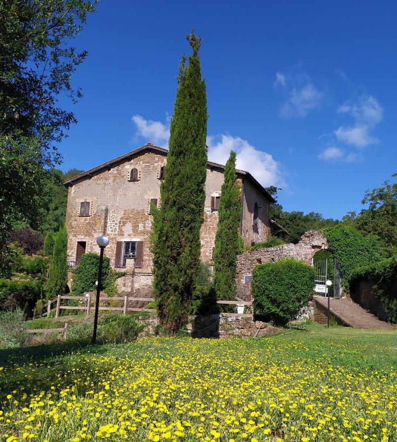Veiano B&B Il Giardino Del Borgo المظهر الخارجي الصورة