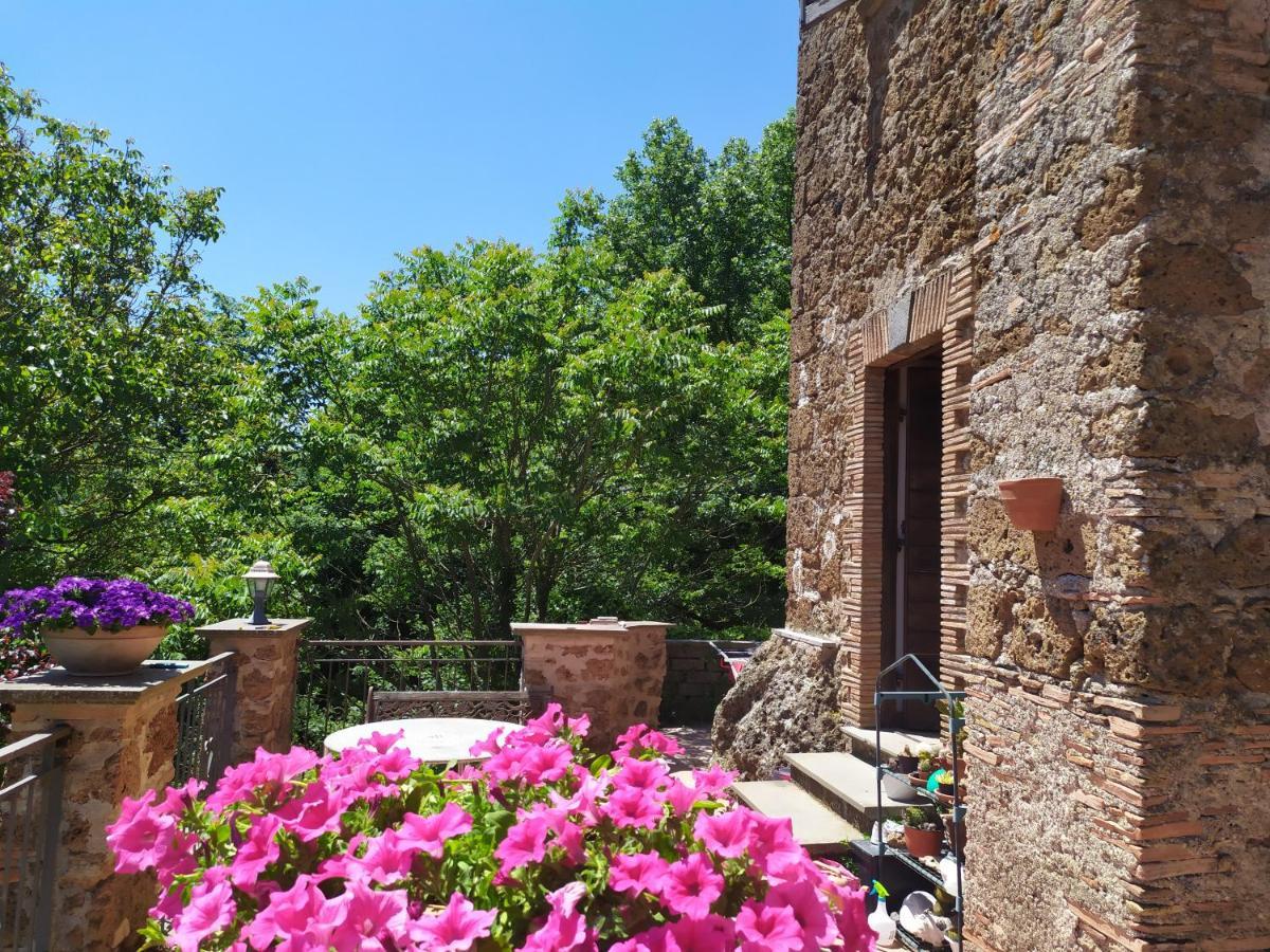 Veiano B&B Il Giardino Del Borgo المظهر الخارجي الصورة
